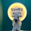 강아지 미용실 이미지