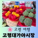 [고령 여행] 부모님과 시장 나들이 고령 오일장이 열리는 "고령대가야시장" 정겨운 방문후기
