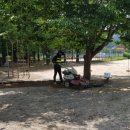 세성초교 병설유치원 네이버블로그