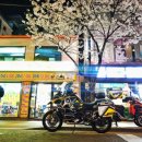 한국통닭 이미지