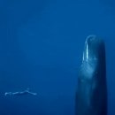 고래 PC방 이미지