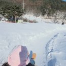 내리목장 | 평창 대관령 겨울 1박 2일 여행 코스 눈꽃썰매장, 송어축제, 양떼목장, 실버벨 교회