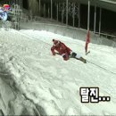 자작나무책방 이미지