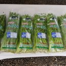 해인농장 이미지