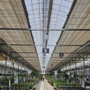 명관농장 이미지