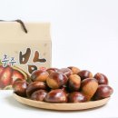 (주)네오게임즈 이미지