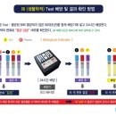 세이프치과 네이버블로그