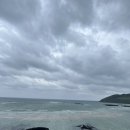 함덕연세의원 이미지