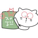 다이노 미디어 이미지