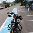 할리데이비슨 스포츠스터 포티에이트 이쁜 커스텀 바이크 !! 이미지