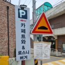 로스니버거 이미지