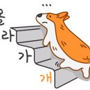 톨드어스토리 - 65537 | 톨드어스토리
