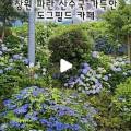꽃길 걷는 도그 네이버블로그