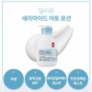 로드비 이미지