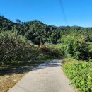 햇살농장 태양광 이미지