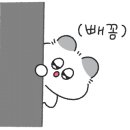 아레볼뷰티 이미지