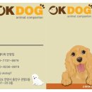 오케이독안양점 네이버블로그
