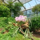 함평 나비 축제 이미지