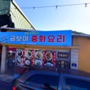 금보야 이미지
