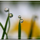 예쁜보석 이미지