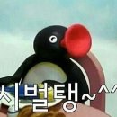 권선생 이미지