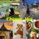 비트리 커피(B.tree coffee) | 3박5일 치앙마이 여행⋆˙⟡ | 코코넛마켓 찡짜이마켓에서 쇼핑하기, 결국 찾은 무에타이곰돌이🧸