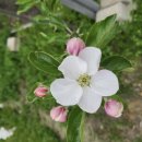 당진시농업기술센터 이미지