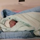 현대자동차(주) 남부서비스센터 이미지