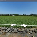 일과1교차로 1 이미지