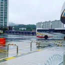 동해시종합버스터미널 이미지