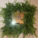 쿠이다르 이미지