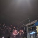 2023년 하반기부터 2024 2월까지 공놀이 구경과 이것저것