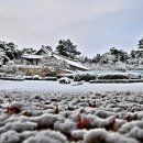 담연재