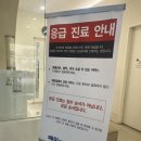 동물병원 더 메이 이미지