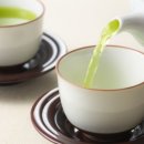 환한세상