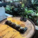 경포주유소 | [버드나무 브루어리] 풍자 또간집, 강릉 수제맥주, 송고피자 화덕피자맛집, 강릉 데이트코스 추천