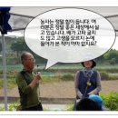 대합초등학교 이미지