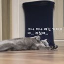 자동차세차마을 이미지