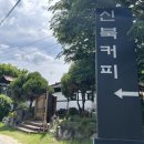 시골카페 - 김제시 원평로 40-3 | “춘천 감성카페 추천｜시골집 감성 가득한 신북카페 후기”