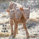 멍순이 이미지