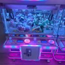 스미스인형뽑기 이미지