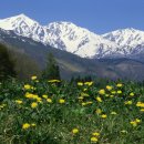 그린에버 이미지