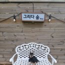 다숨 이미지
