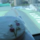 도림스토리 이미지