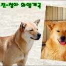 청아 이미지