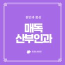 아이리스산부인과의원 | 양평동산부인과추천 여성 매독 증상과 치료