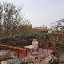 일과서림 이미지