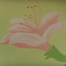 보라매초등학교 이미지