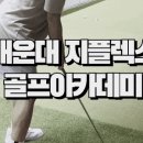 지플렉스스크린골프 이미지