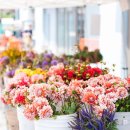 생활의 향기 이미지